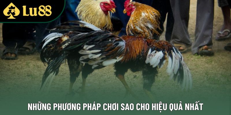 Những phương pháp chơi sao cho hiệu quả nhất Những phương pháp chơi sao cho hiệu quả nhất