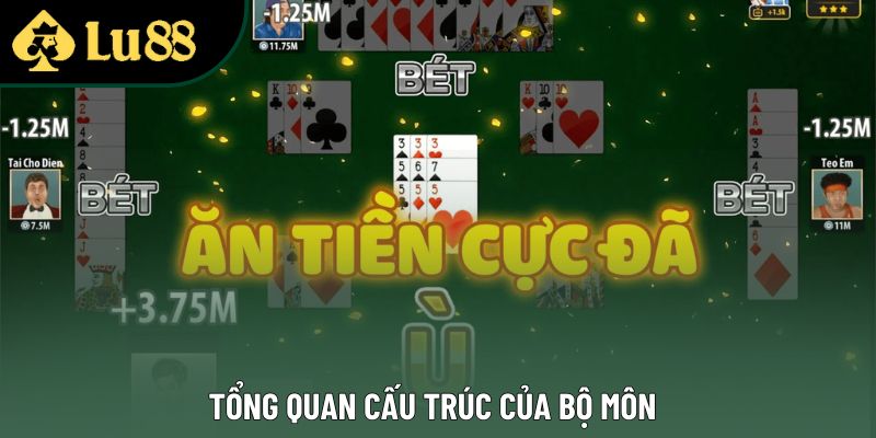 Tổng quan cấu trúc của bộ môn Tổng quan cấu trúc của bộ môn
